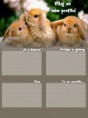 HTML Rabbits (lenkatresne)